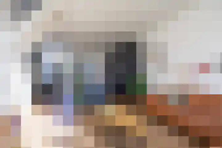 Boarnsterdyk 65 Akkrum thumbnail 6