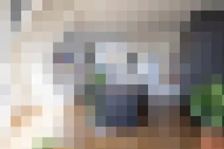 Boarnsterdyk 65 Akkrum thumbnail 8