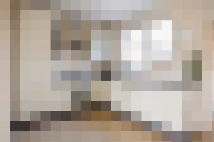 Boarnsterdyk 67 Akkrum thumbnail 10