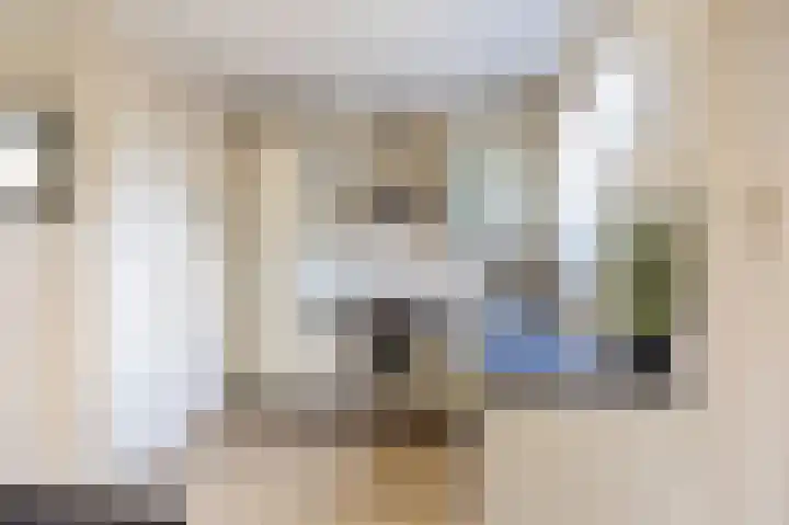 Boarnsterdyk 67 Akkrum thumbnail 11