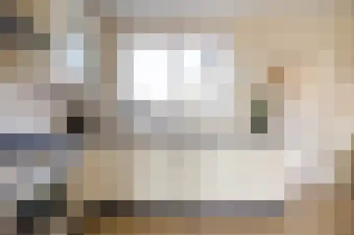 Boarnsterdyk 67 Akkrum thumbnail 12