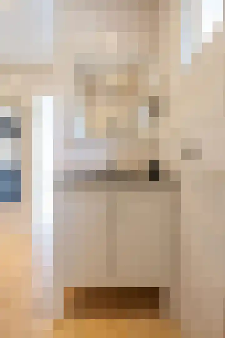 Boarnsterdyk 67 Akkrum thumbnail 19
