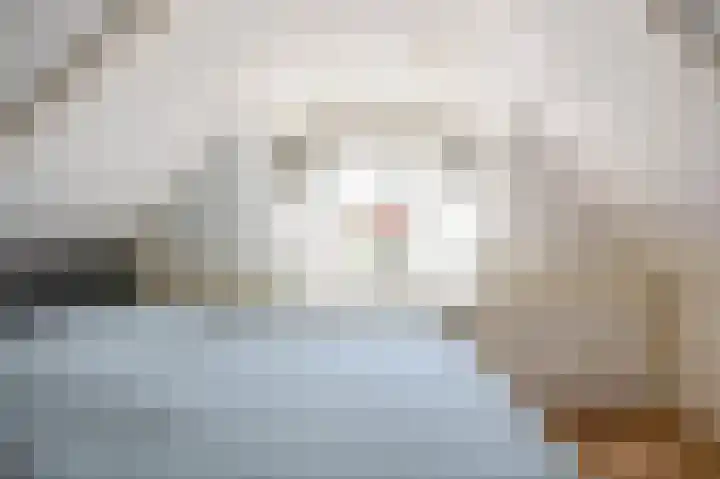 Boarnsterdyk 67 Akkrum thumbnail 26