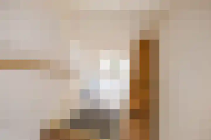 Boarnsterdyk 67 Akkrum thumbnail 28