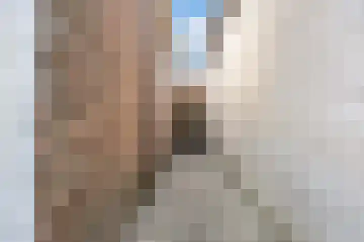 Boarnsterdyk 67 Akkrum thumbnail 29