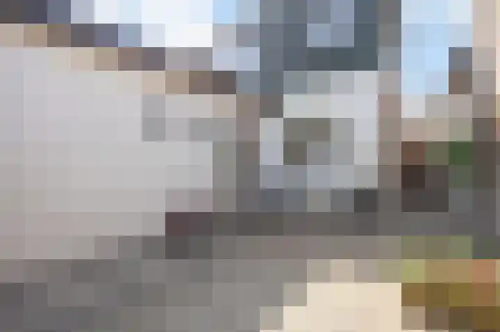 Boarnsterdyk 67 Akkrum thumbnail 32