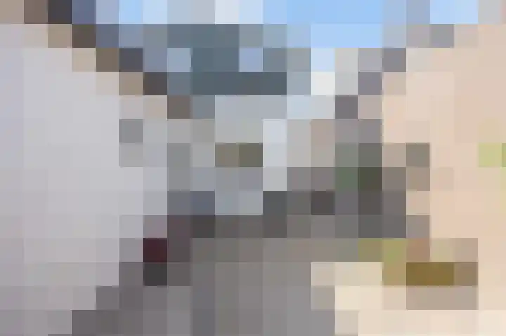 Boarnsterdyk 67 Akkrum thumbnail 33