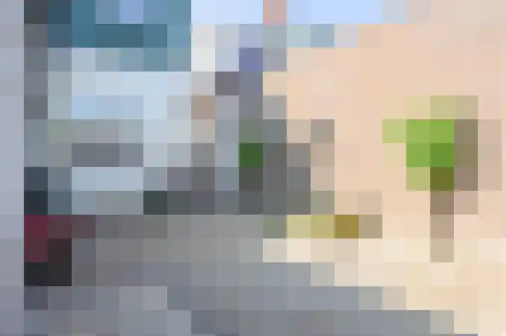 Boarnsterdyk 67 Akkrum thumbnail 34