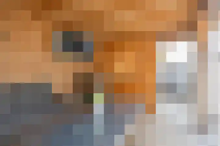Boarnsterdyk 67 Akkrum thumbnail 36