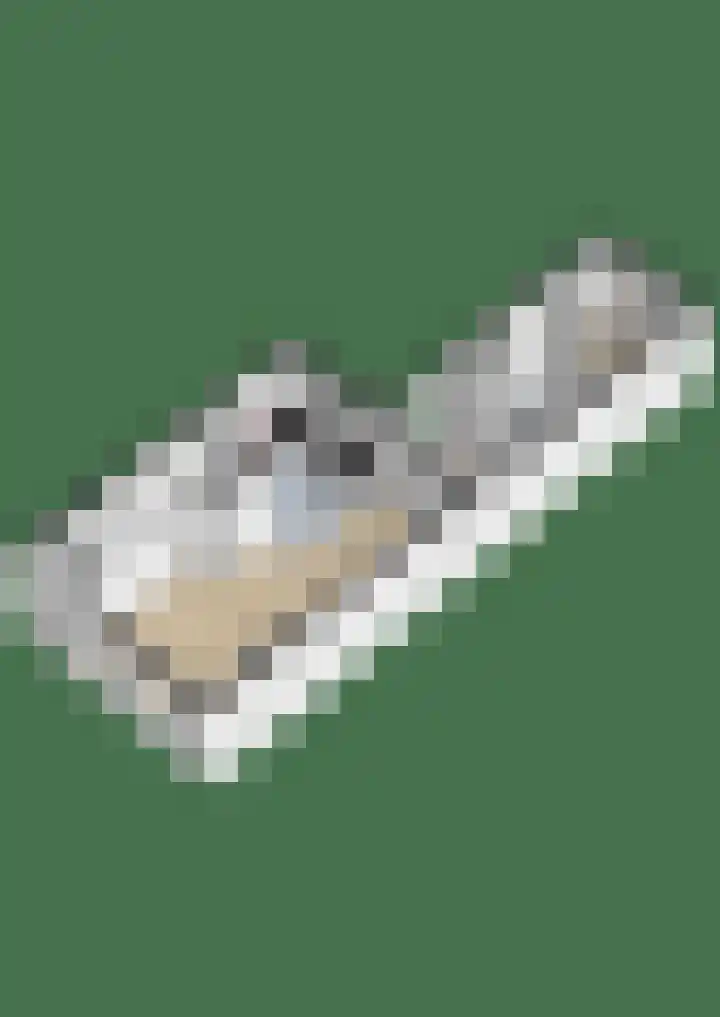Boarnsterdyk 67 Akkrum thumbnail 42