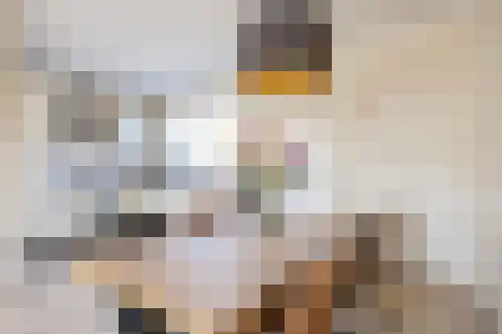 Boarnsterdyk 67 Akkrum thumbnail 9