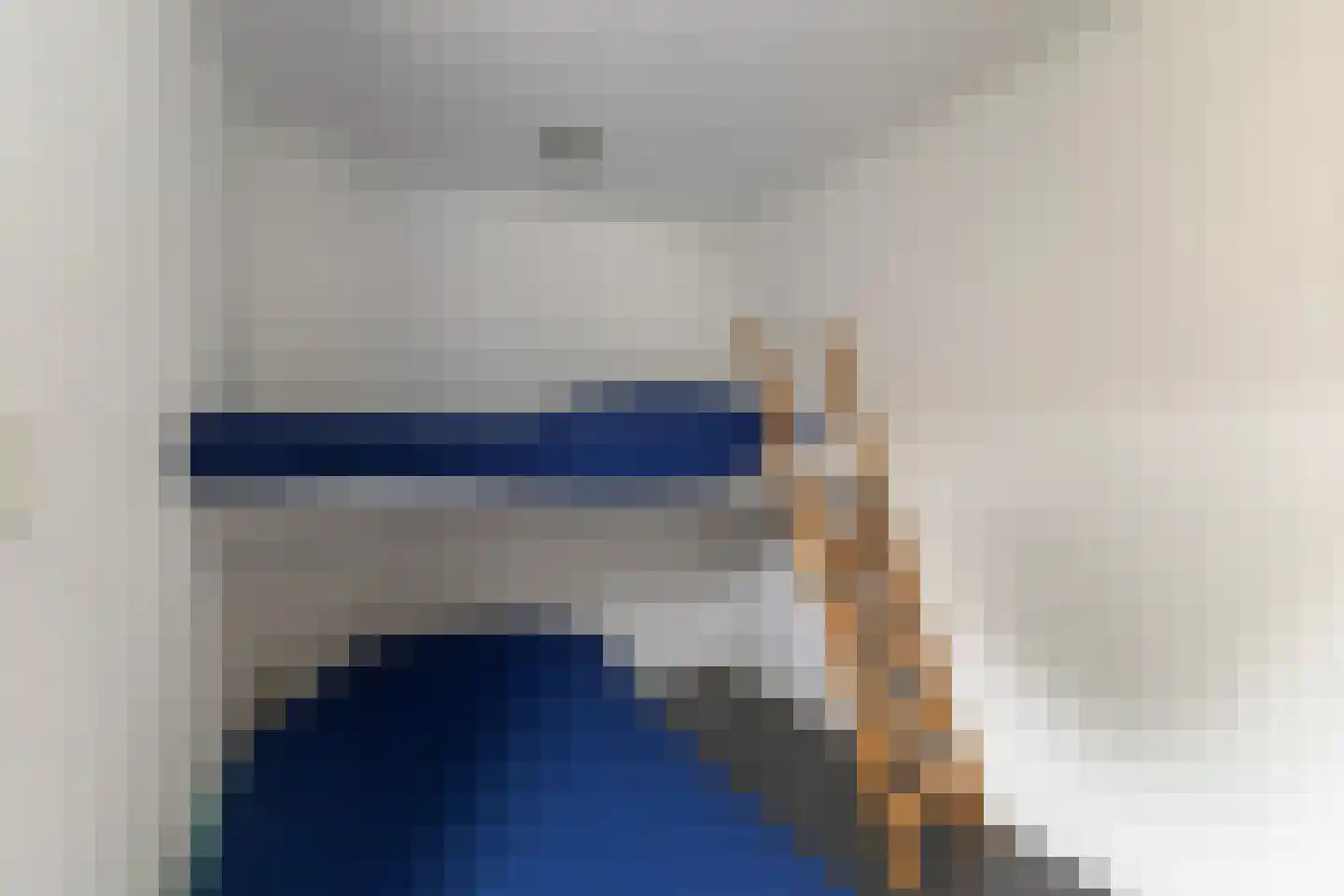 Boarnsweachsterdyk 10 Boornzwaag thumbnail 25