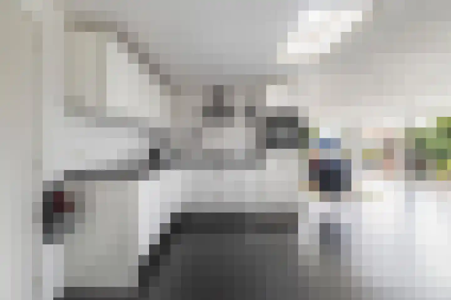 Boarnsweachsterdyk 10 Boornzwaag thumbnail 4