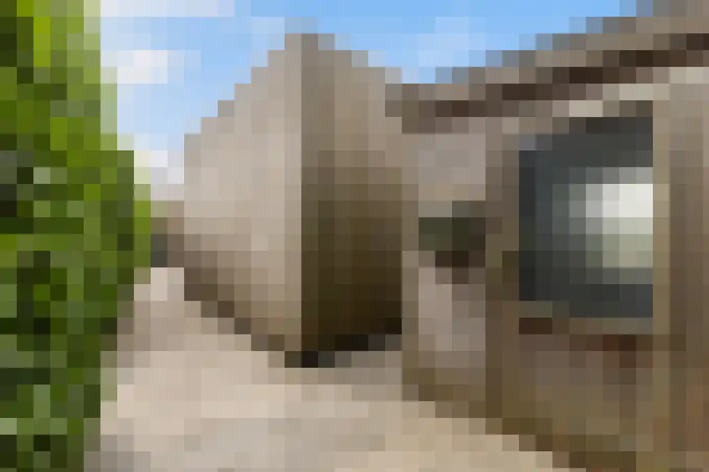 Boarnsweachsterdyk 10 Boornzwaag thumbnail 41