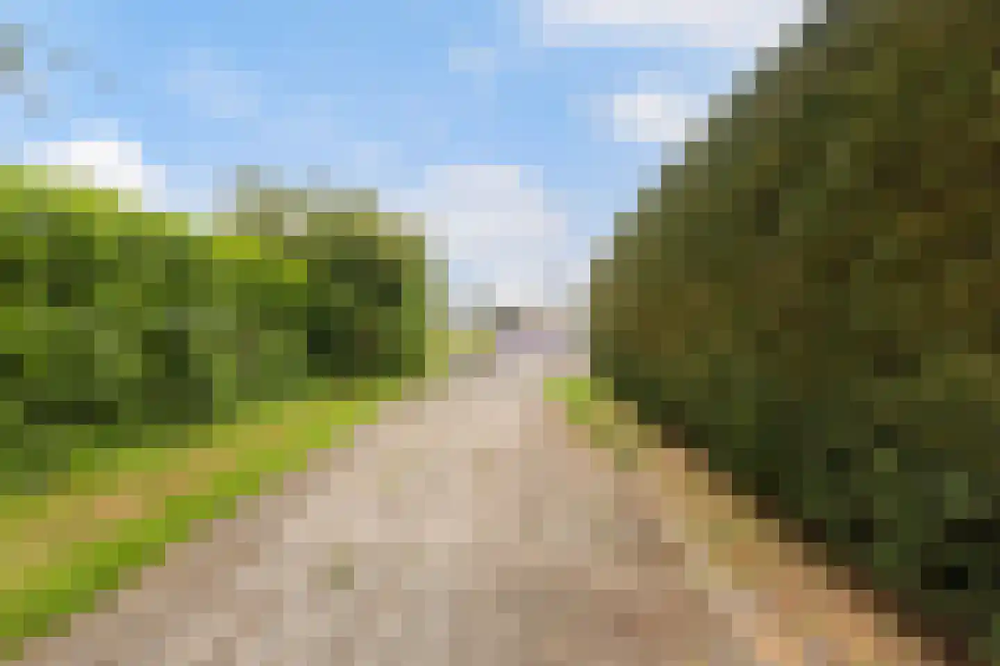 Boarnsweachsterdyk 10 Boornzwaag thumbnail 48