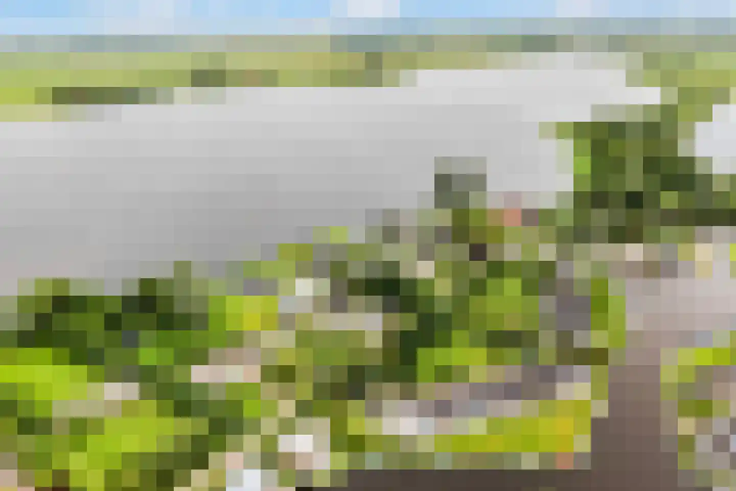 Boarnsweachsterdyk 10 Boornzwaag thumbnail 49