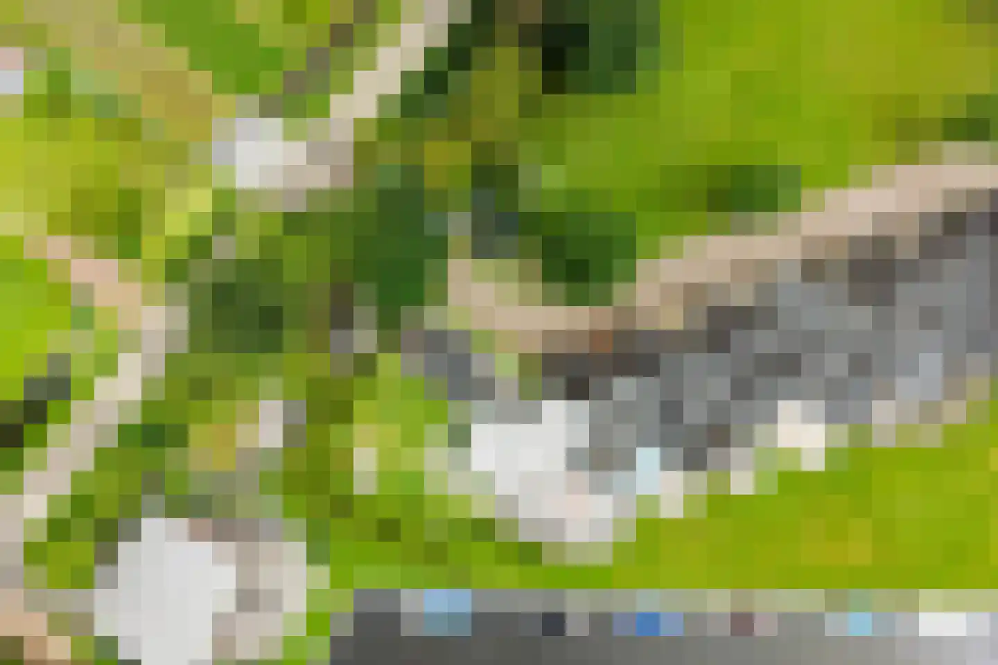 Boarnsweachsterdyk 10 Boornzwaag thumbnail 53
