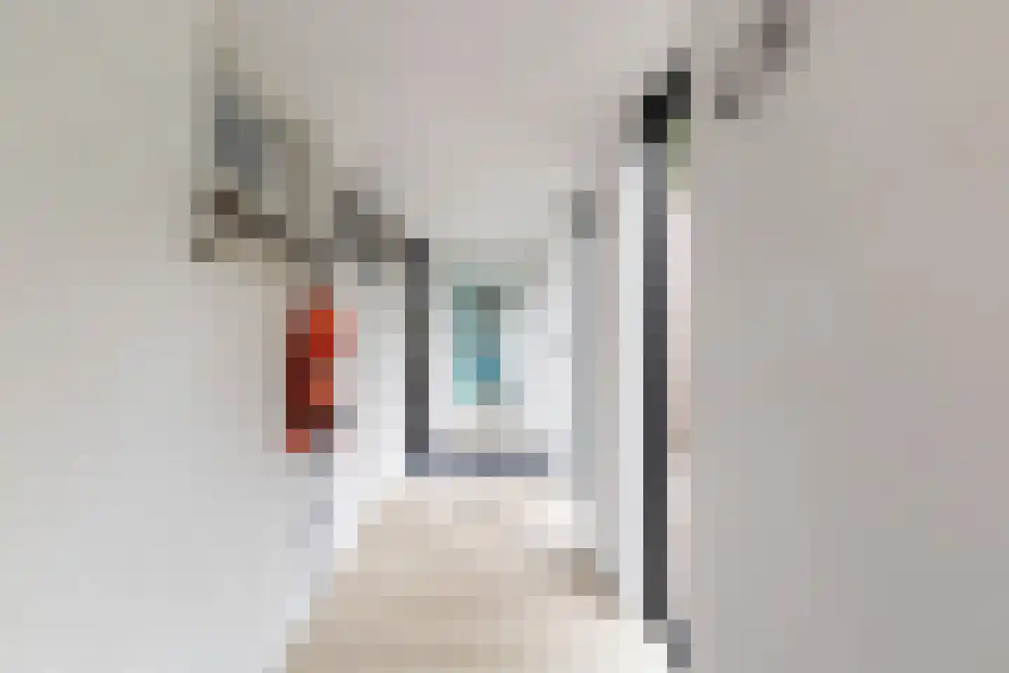 Boarnsweachsterdyk 10 Boornzwaag thumbnail 7