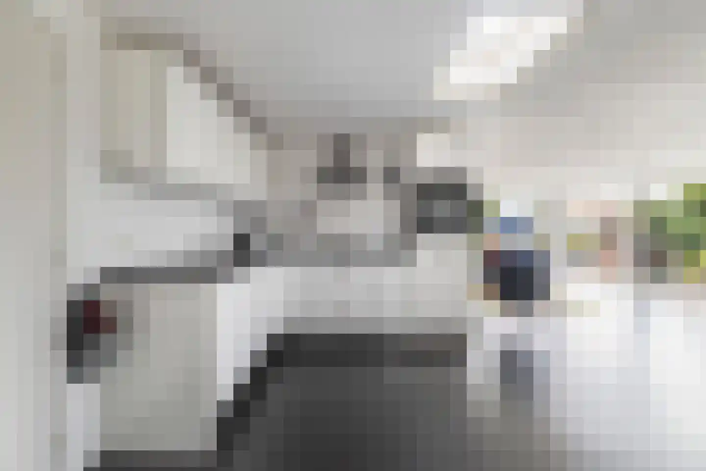 Boarnsweachsterdyk 10 Boornzwaag thumbnail 9