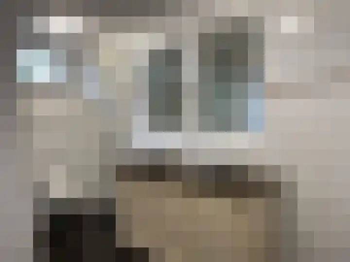Boarnsylsterwei 18 Jelsum thumbnail 10