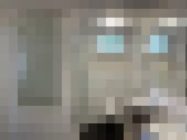 Boarnsylsterwei 18 Jelsum thumbnail 11