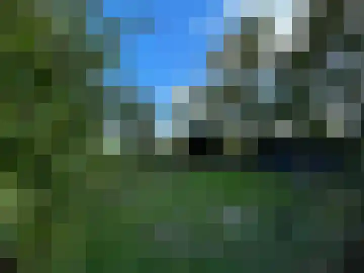 Boarnsylsterwei 18 Jelsum thumbnail 12