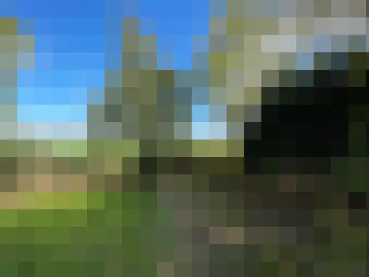 Boarnsylsterwei 18 Jelsum thumbnail 13