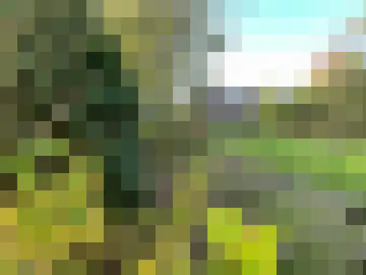 Boarnsylsterwei 18 Jelsum thumbnail 14