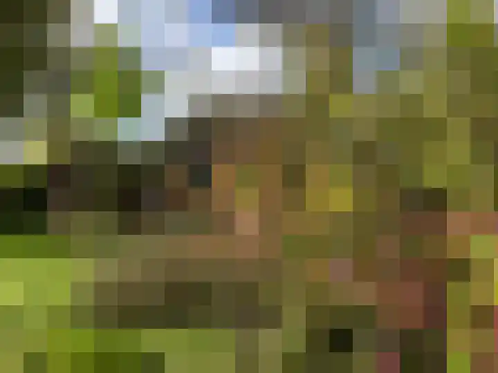 Boarnsylsterwei 18 Jelsum thumbnail 15