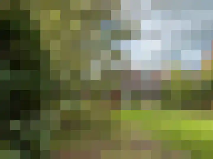 Boarnsylsterwei 18 Jelsum thumbnail 16