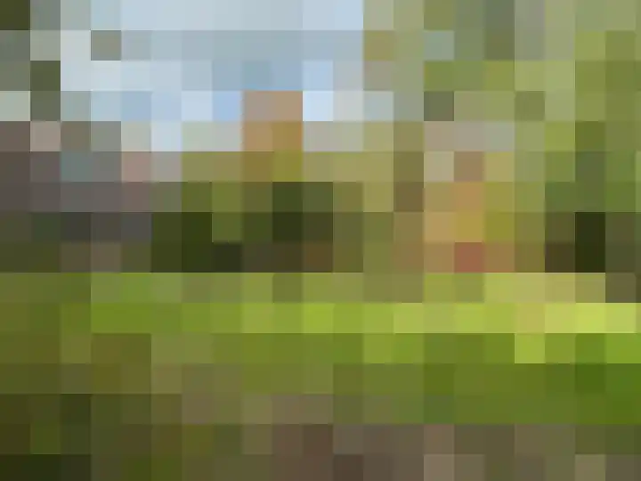 Boarnsylsterwei 18 Jelsum thumbnail 17