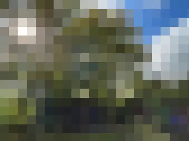 Boarnsylsterwei 18 Jelsum thumbnail 19