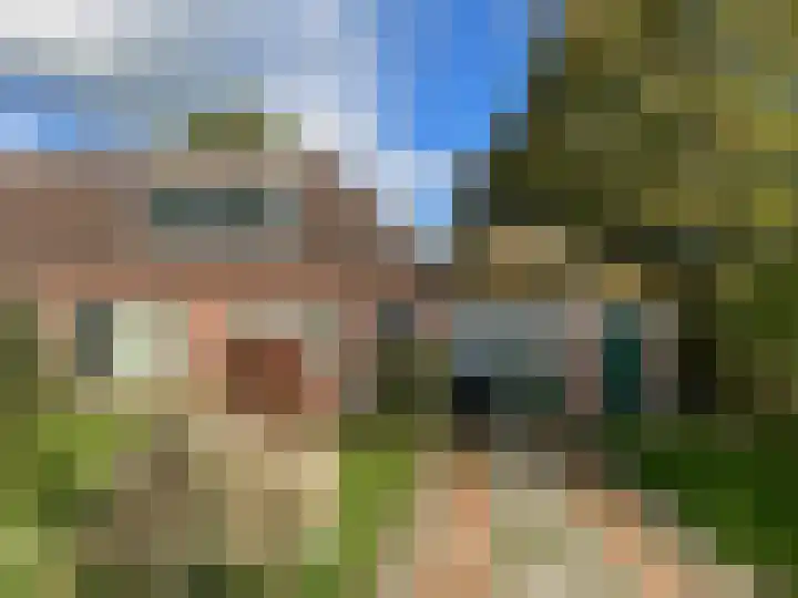 Boarnsylsterwei 18 Jelsum thumbnail 7
