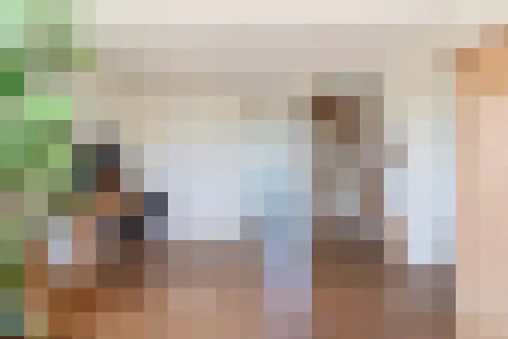 Boarnsylsterwei 34 Jelsum thumbnail 10