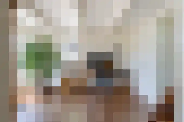 Boarnsylsterwei 34 Jelsum thumbnail 11