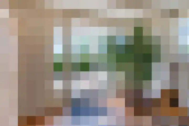 Boarnsylsterwei 34 Jelsum thumbnail 12