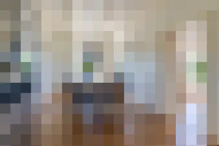 Boarnsylsterwei 34 Jelsum thumbnail 13