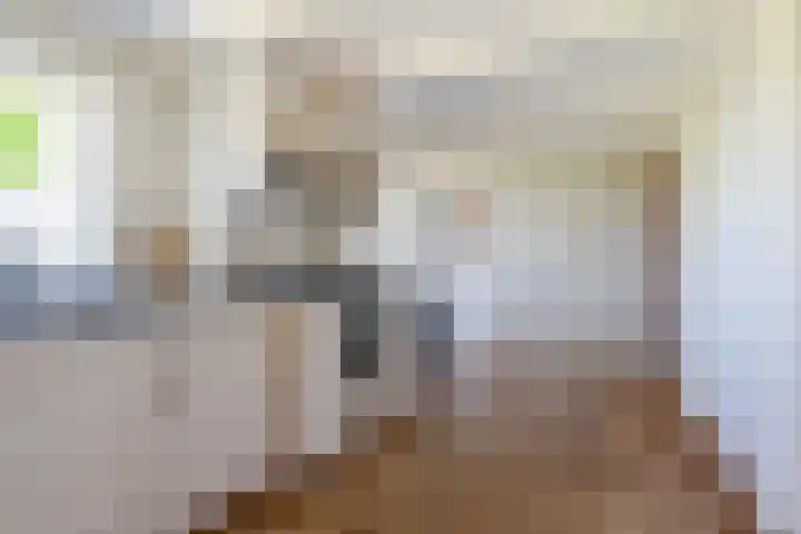 Boarnsylsterwei 34 Jelsum thumbnail 15