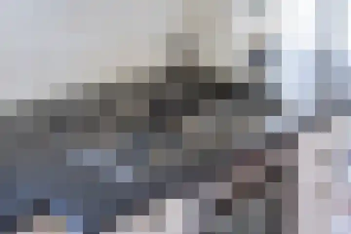 Boarnsylsterwei 34 Jelsum thumbnail 16