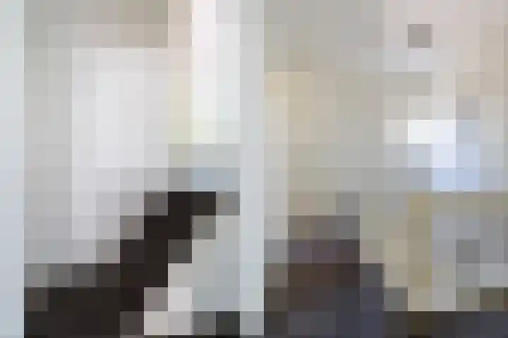 Boarnsylsterwei 34 Jelsum thumbnail 21