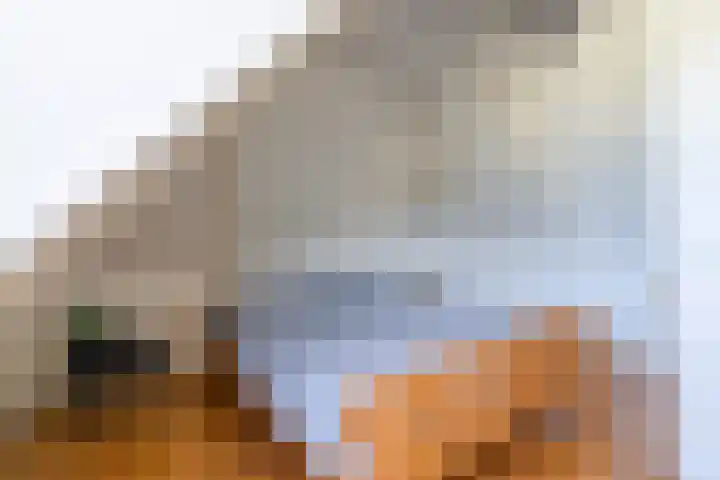 Boarnsylsterwei 34 Jelsum thumbnail 23