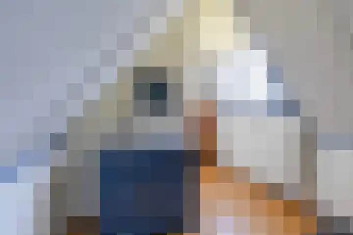 Boarnsylsterwei 34 Jelsum thumbnail 27