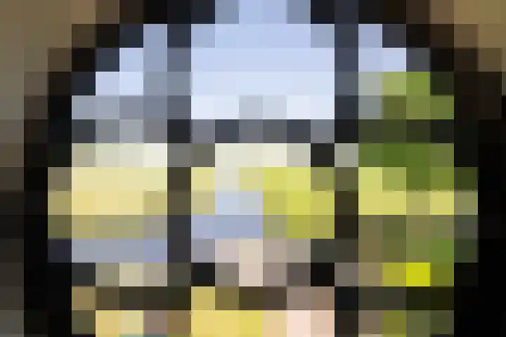 Boarnsylsterwei 34 Jelsum thumbnail 32