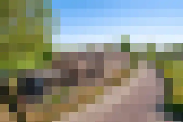 Boarnsylsterwei 34 Jelsum thumbnail 33