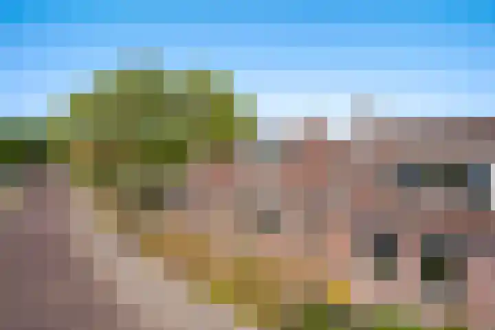 Boarnsylsterwei 34 Jelsum thumbnail 34