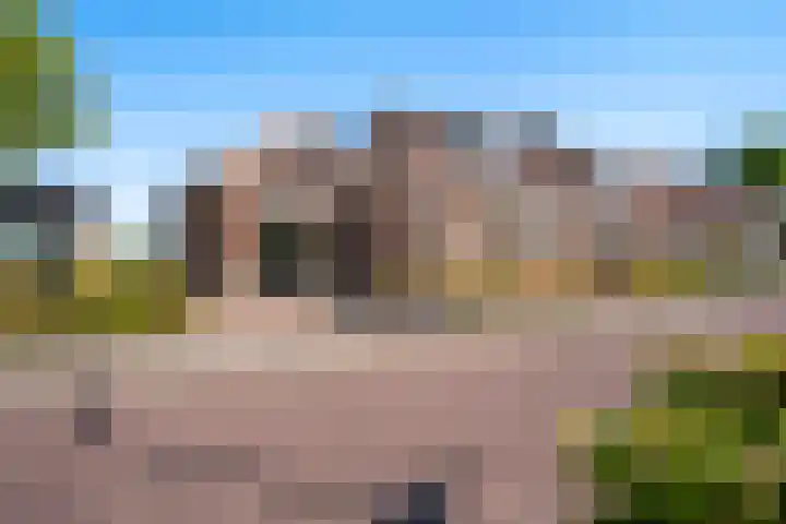 Boarnsylsterwei 34 Jelsum thumbnail 35