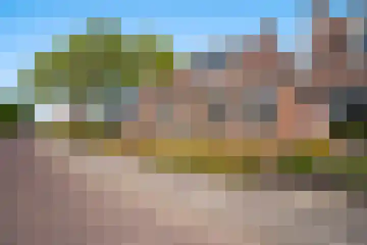 Boarnsylsterwei 34 Jelsum thumbnail 36