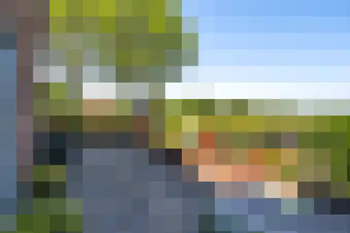 Boarnsylsterwei 34 Jelsum thumbnail 38