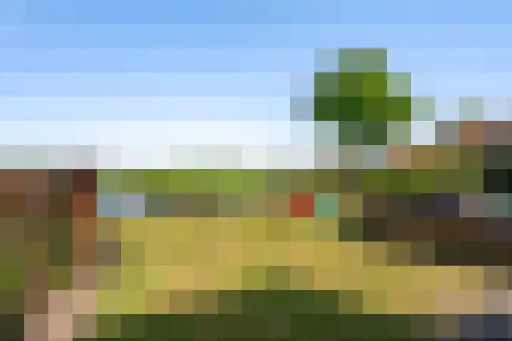 Boarnsylsterwei 34 Jelsum thumbnail 39