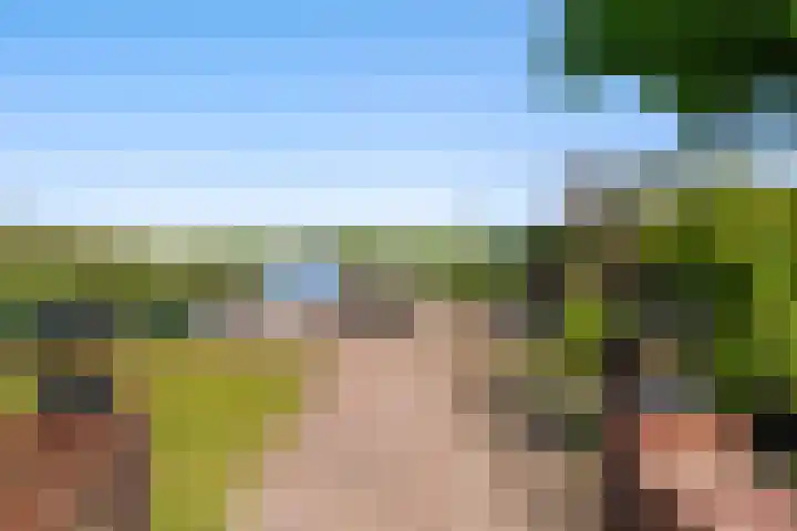 Boarnsylsterwei 34 Jelsum thumbnail 4